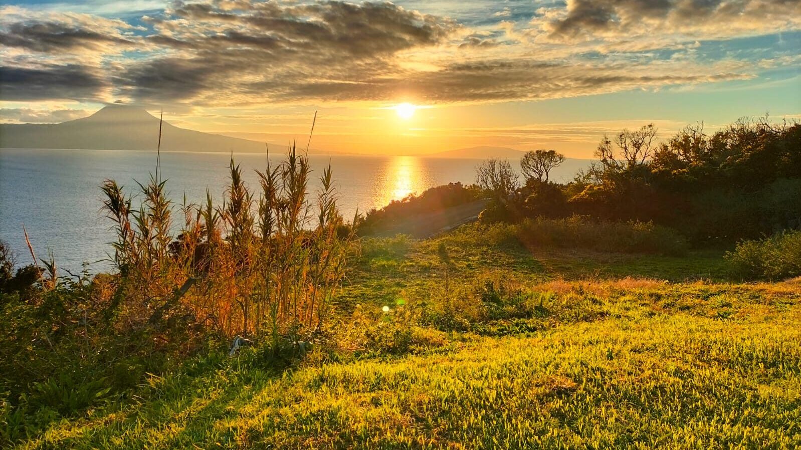 Velders 1ste-lijns Psychologie Praktijk